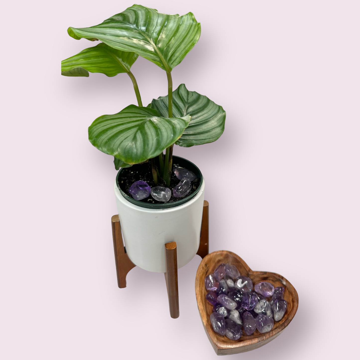 Polished Pocket Amethyst Stones