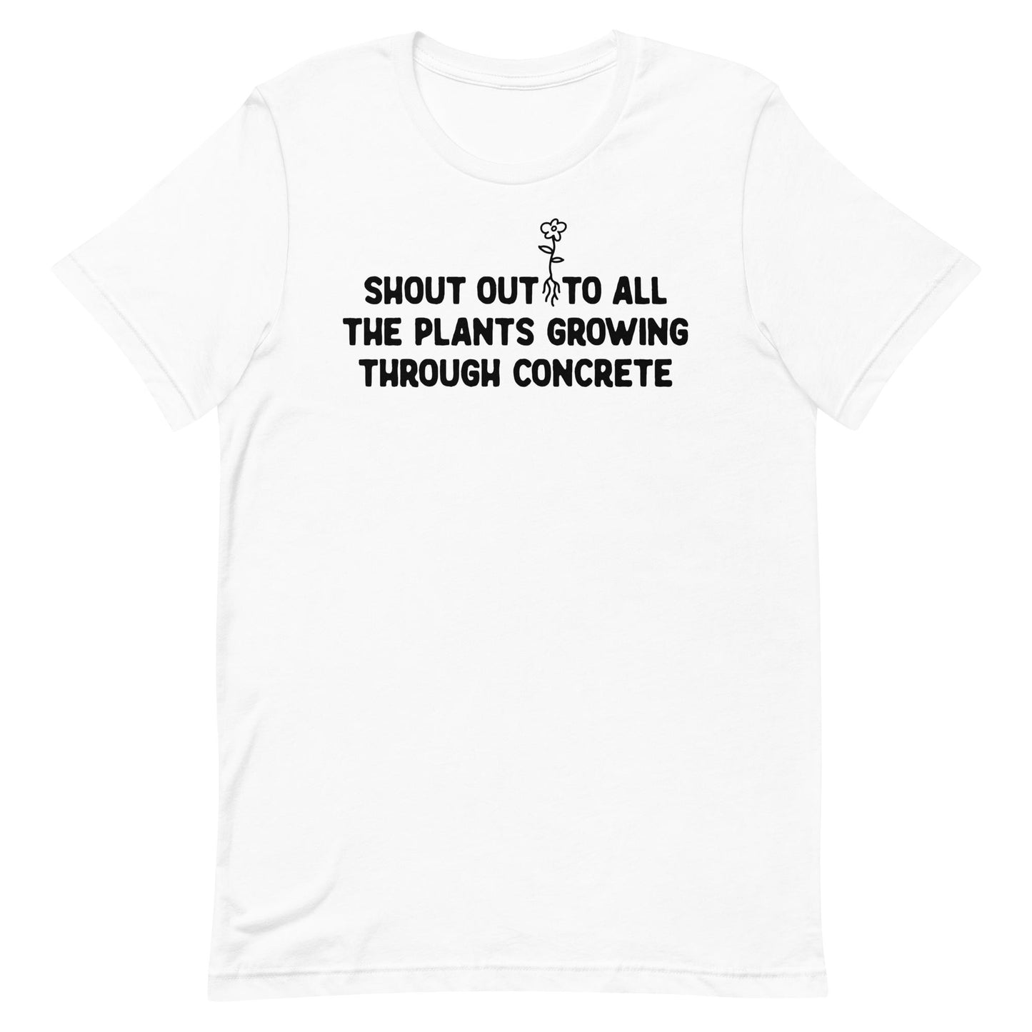 Plant from Concrete Tee