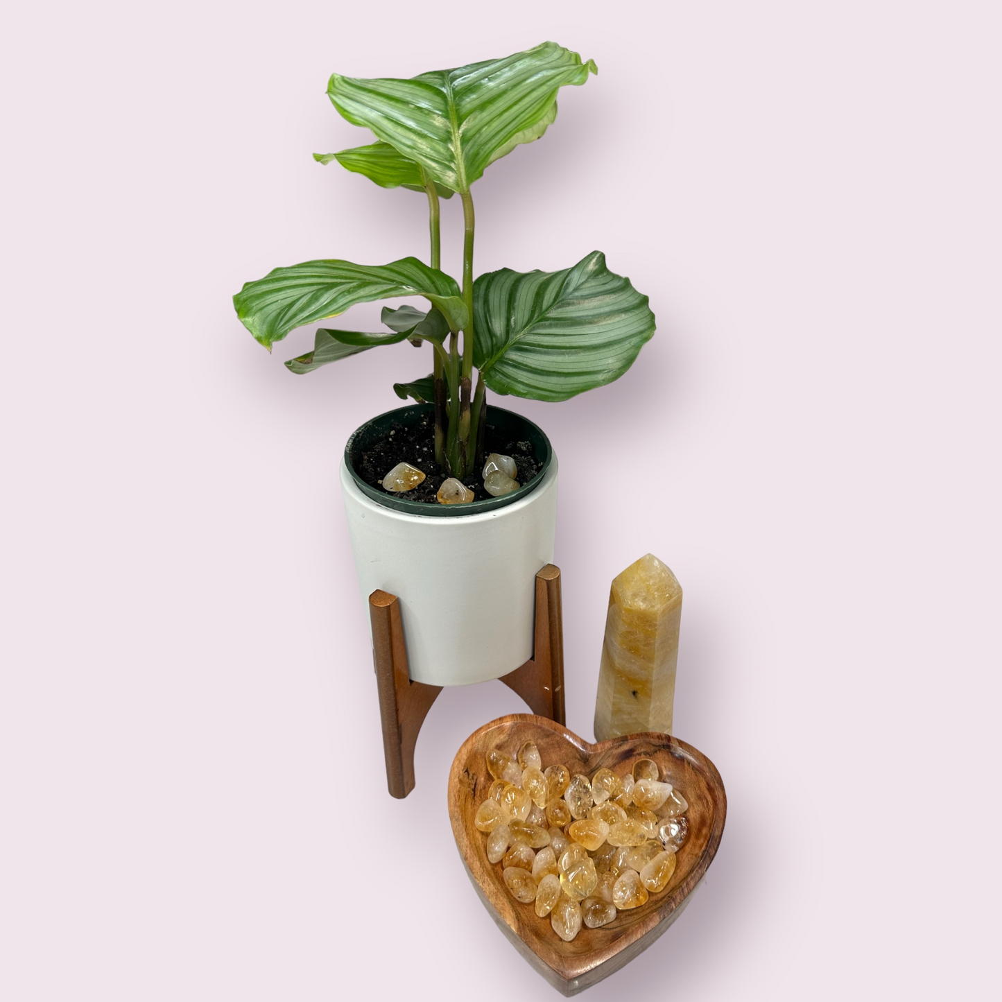 Polished Pocket Citrine Stones