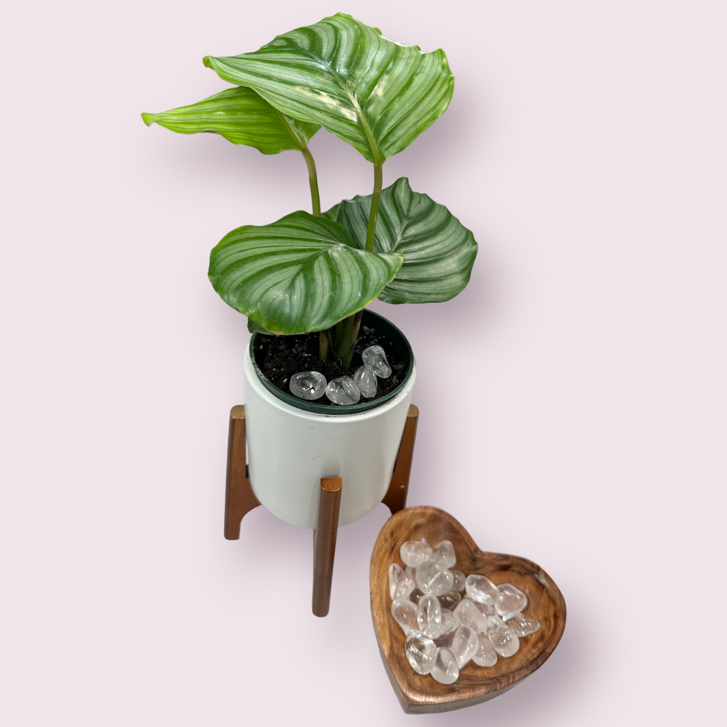 Polished Pocket Clear Quartz Stones