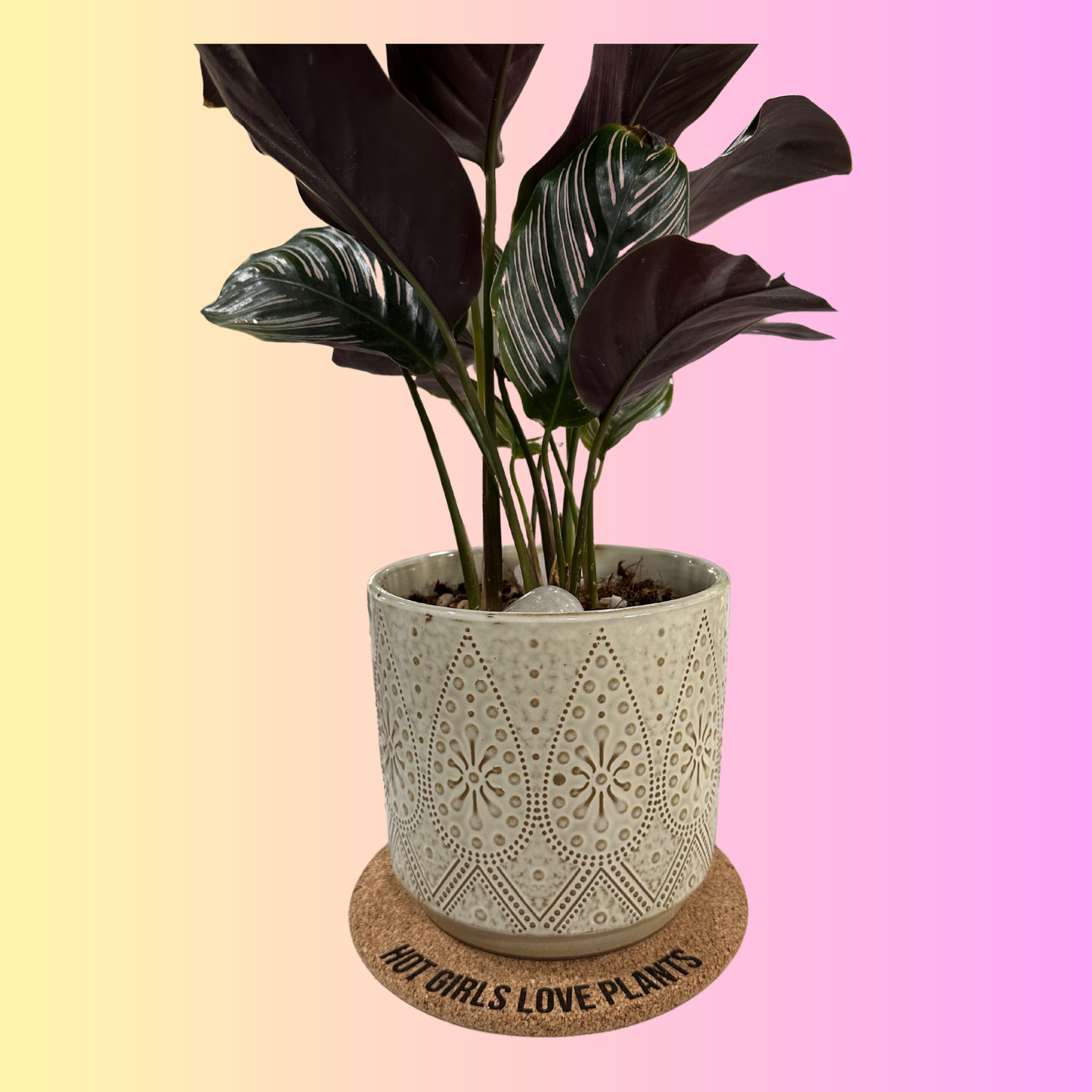 Funny Cork Plant Mat