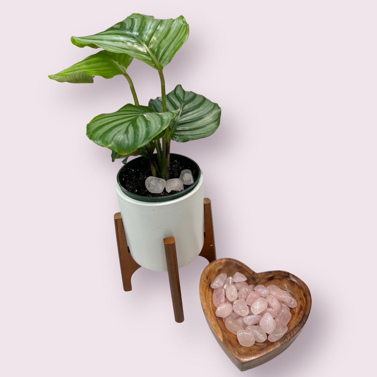 Polished Pocket Rose Quartz Stones